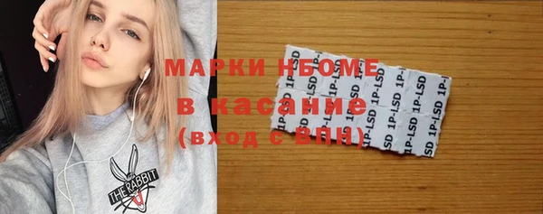 дурь Гусев