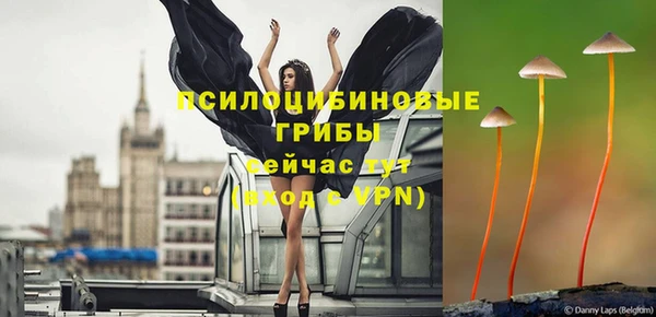 Альфа ПВП Гусь-Хрустальный