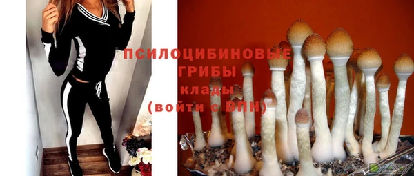 крисы Гусиноозёрск