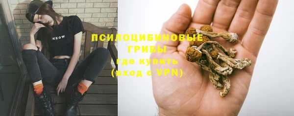 Альфа ПВП Гусь-Хрустальный