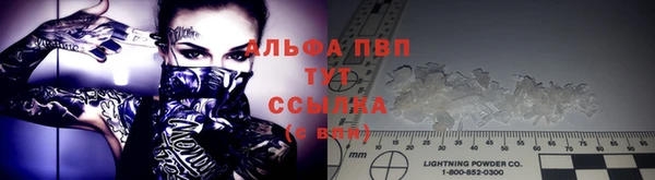 крисы Гусиноозёрск