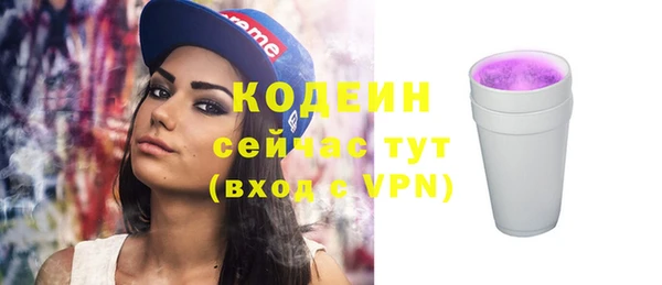 дурь Гусев