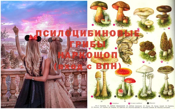 крисы Гусиноозёрск