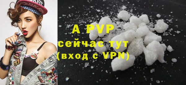 дурь Гусев