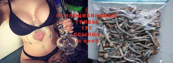 Альфа ПВП Гусь-Хрустальный