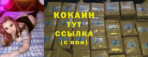 Альфа ПВП Гусь-Хрустальный