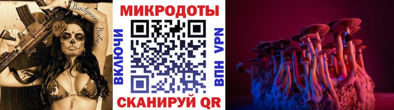 наркота  Новосокольники  Псилоцибиновые грибы прущие грибы 